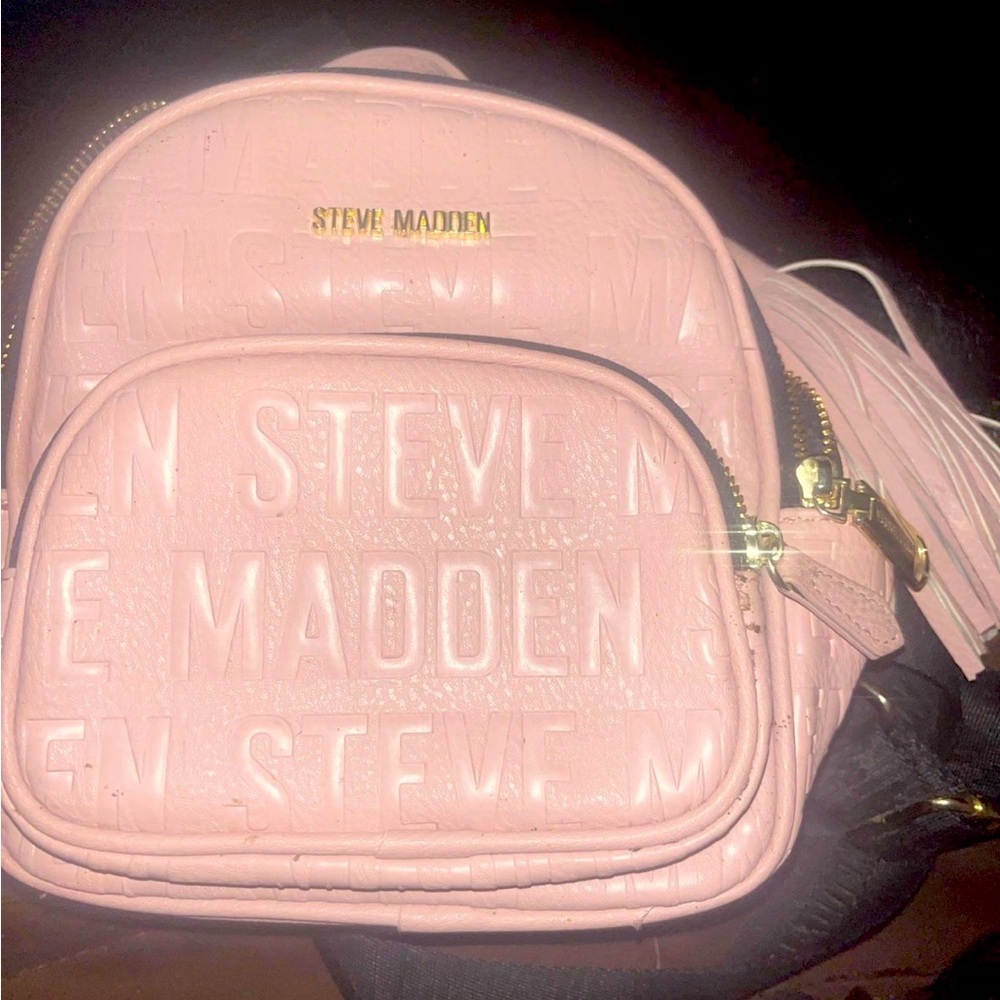 A Steve Madden mini bag